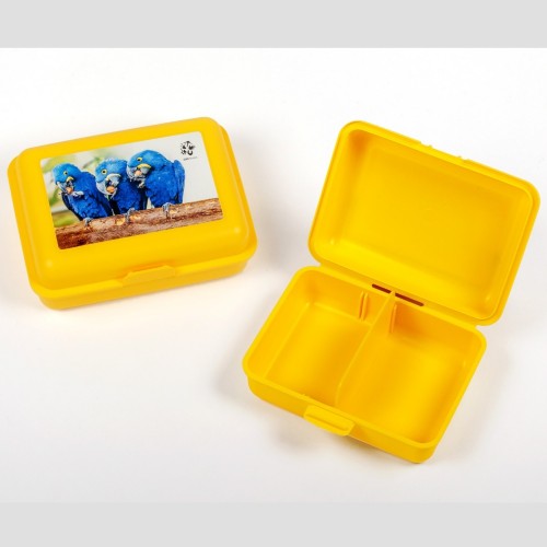 Svačinový box